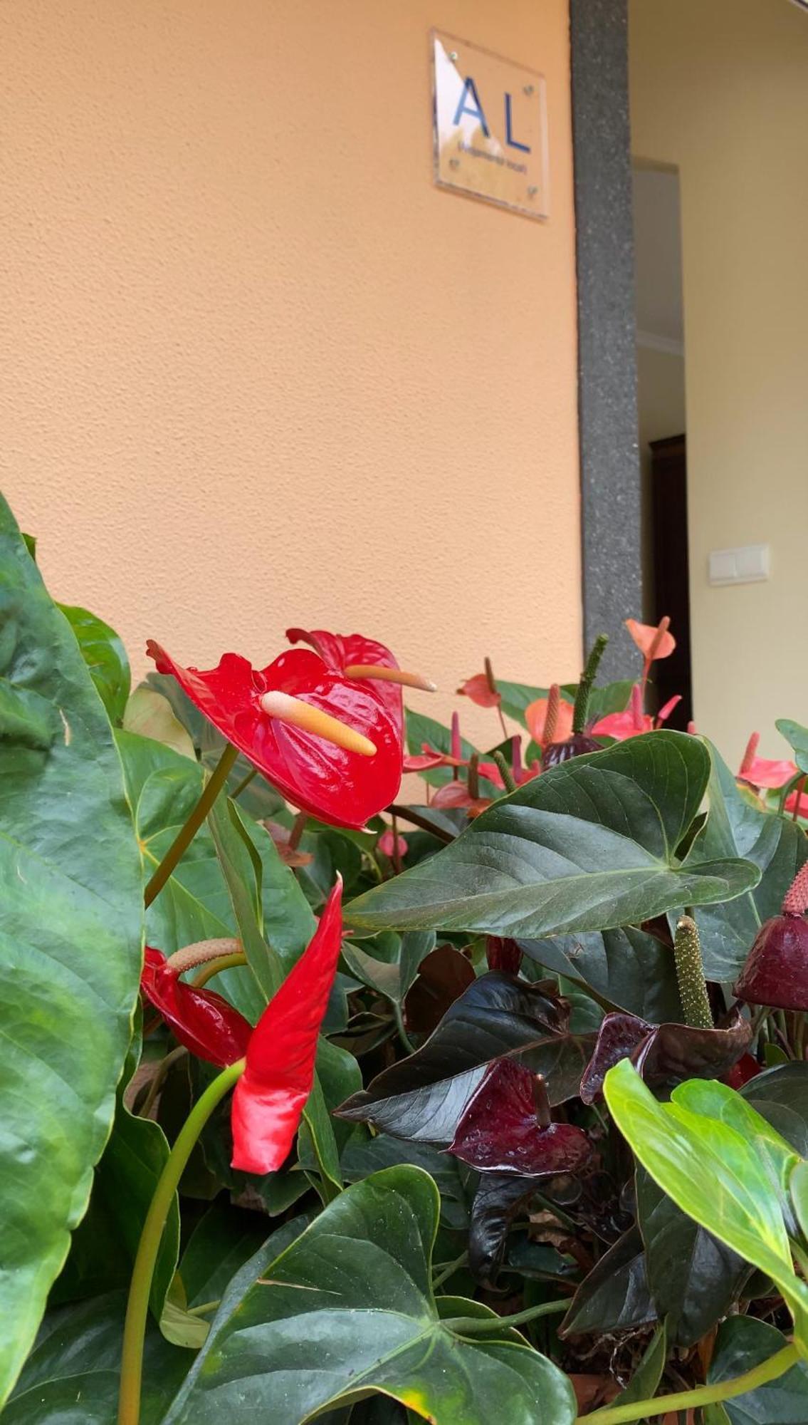 شقة Pana House كالهيتا المظهر الخارجي الصورة